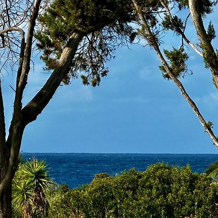 Villa Macalia Pietrosella Dış mekan fotoğraf