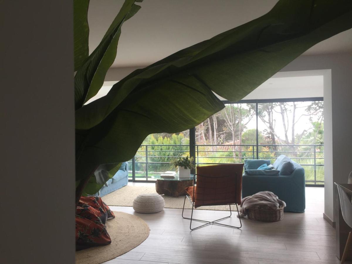 Villa Macalia Pietrosella Dış mekan fotoğraf