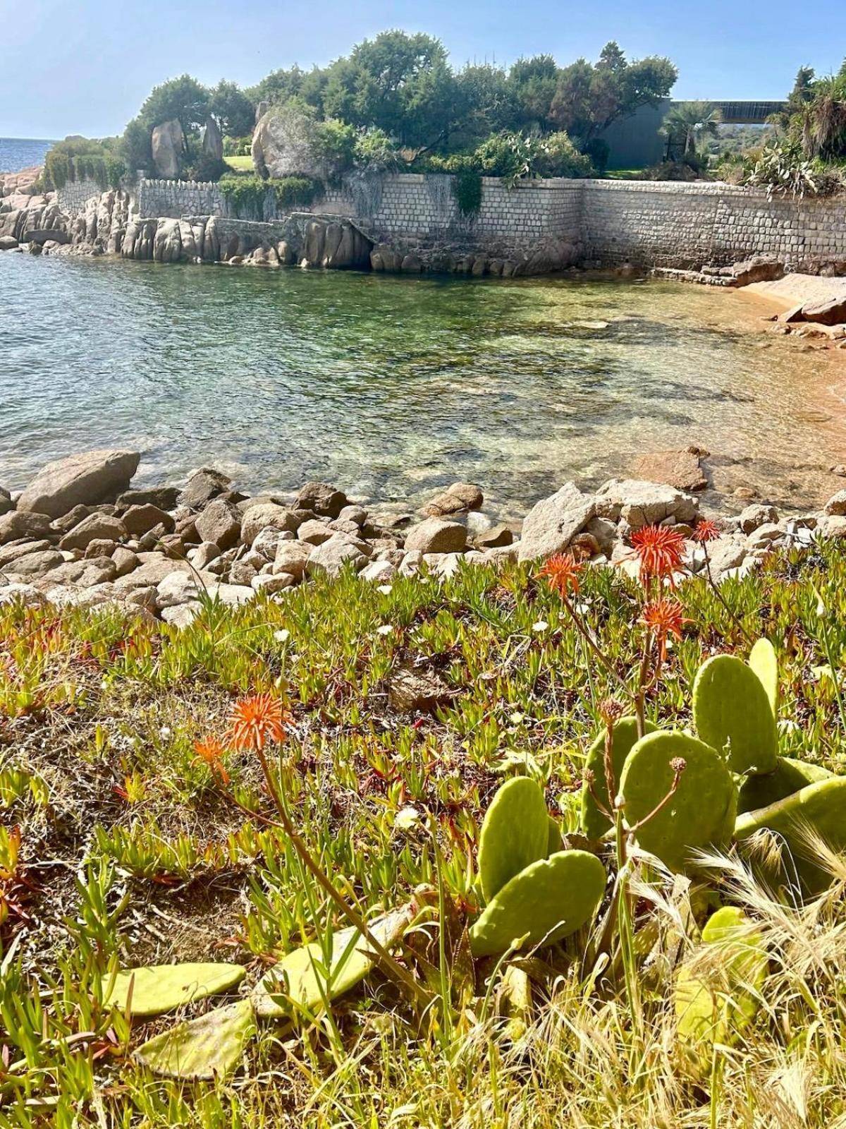 Villa Macalia Pietrosella Dış mekan fotoğraf