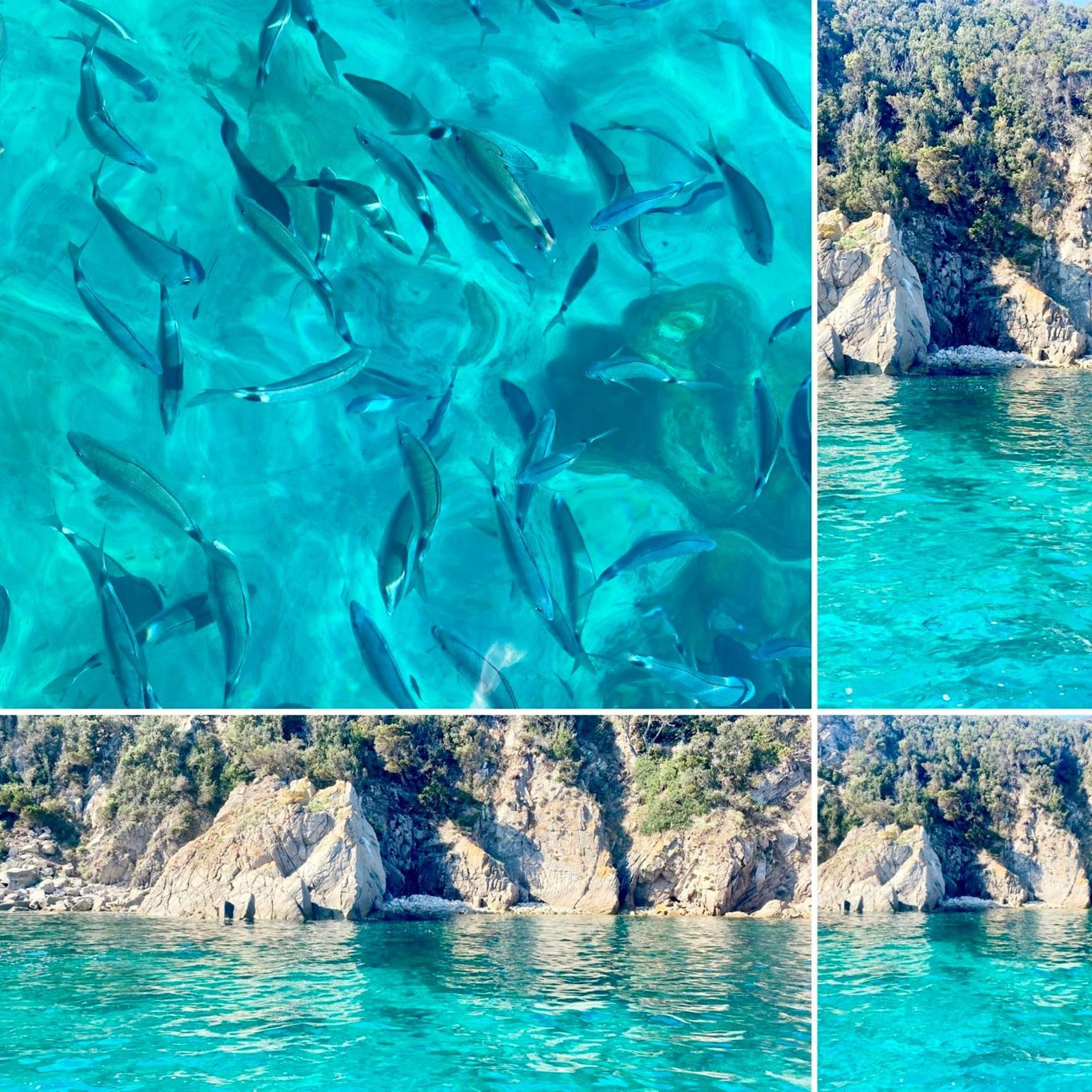 Villa Macalia Pietrosella Dış mekan fotoğraf